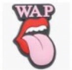 WAP Charm