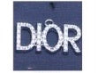 DIOR Charm